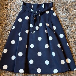 NWT New York & Co Skirt